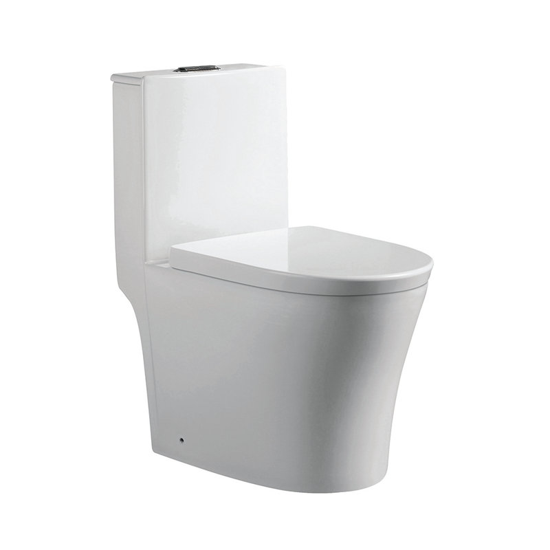 Toilette allongée une pièce à double chasse (siège inclus) Isabelle