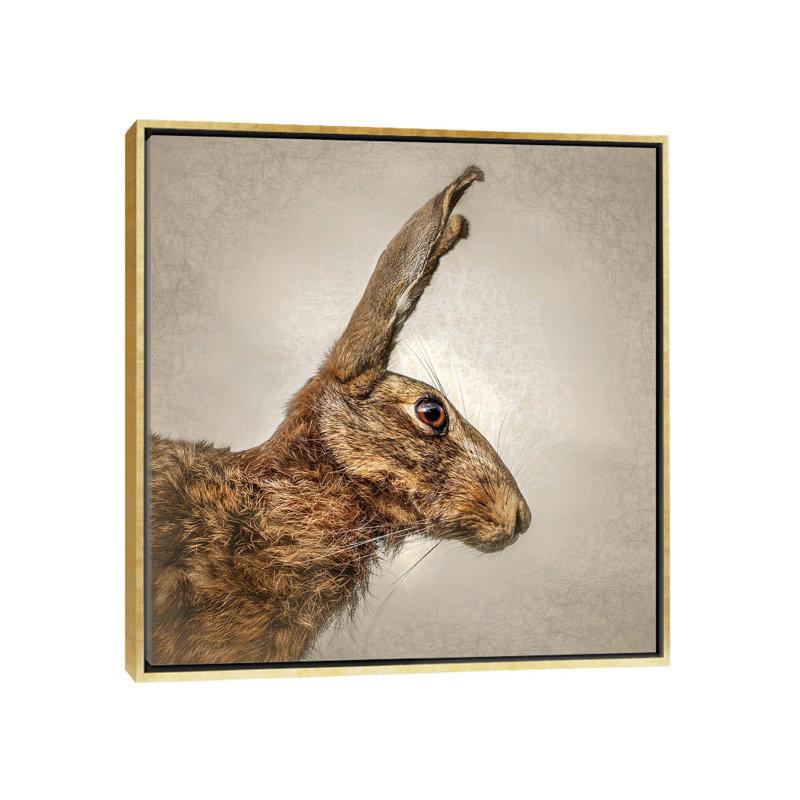 « Hare » par Mark Gemmell-impression d’art graphique, Toile encadrée d'or, Pas de tapis, H 37 po x l 37 po x P 1,5 po