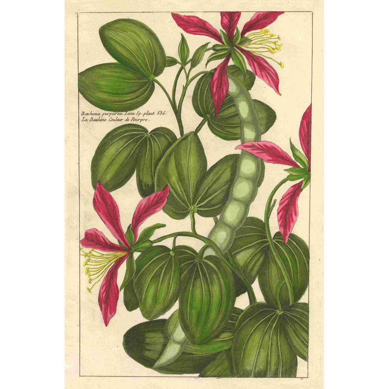 Fleur de rouge VI, H 18 po x l 12 po
