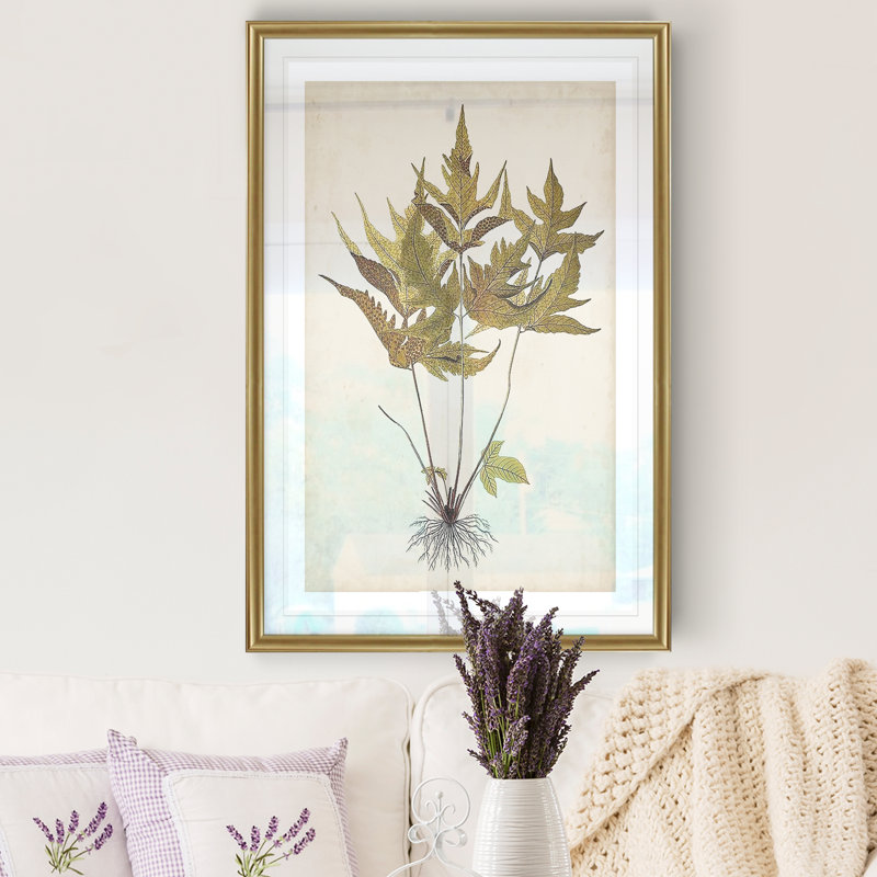 " Fern Botanical II ", 26.5" H x 36.5" W x 1.5" D, Gold Framed