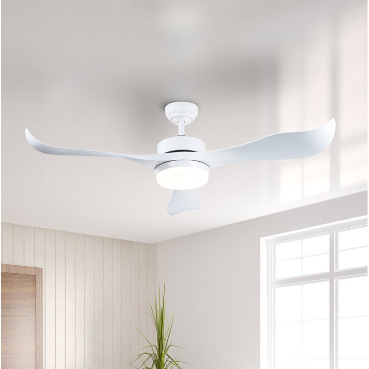 Bieber 133cm Ceiling Fan with LED Lights