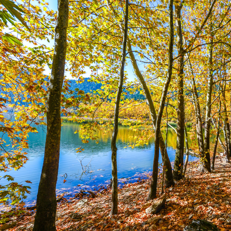 Kovada Lake From Egirdir by KenanOlgun - Wrapped Canvas Print, 76cm H x 76cm W x 3.8cm D