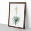 Adams Needle Yucca Flowers by Pierre-Joseph Redoute - Single Picture Frame Painting-55547498-55547493