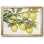Ripe For Picks II, reproduction d'art sur toile-95887336-95887337