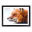 Profile of a Red Fox - Picture Frame Painting Print-56758549-56758552