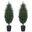 Ensemble de 2 arbres de Noël artificiels 4 pi avec 2 branches en PE et pot, vert