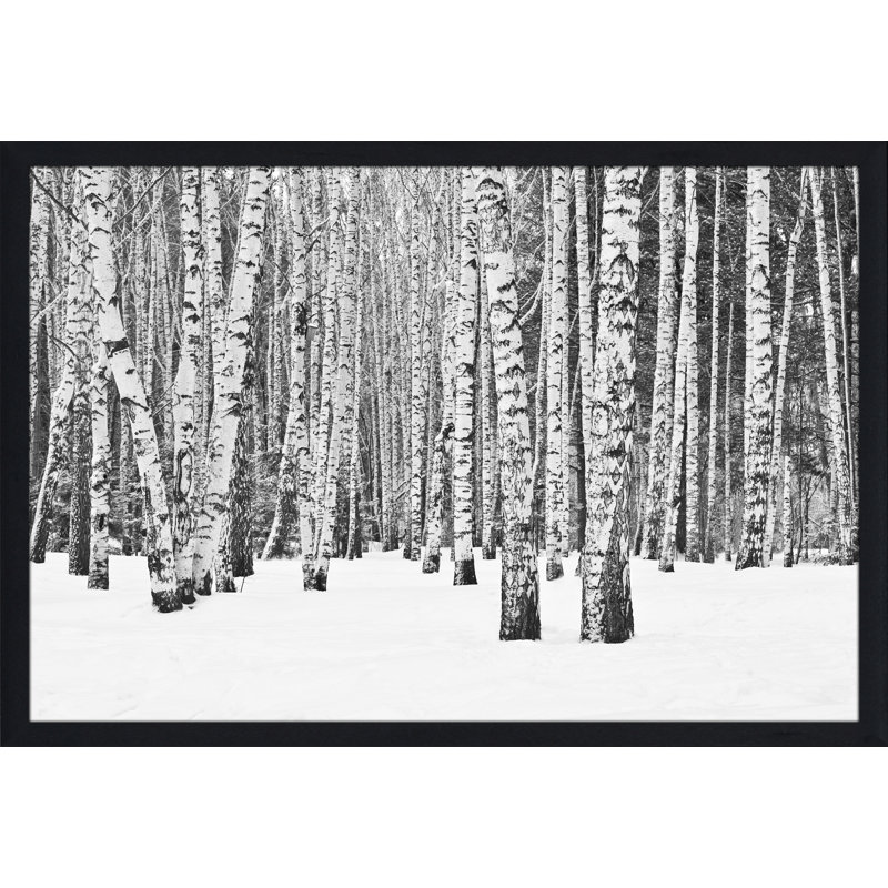 «Birch Trees in Winter», reproduction de photo encadrée, H 35,5 po x l 51,5 po x P 0,75 po