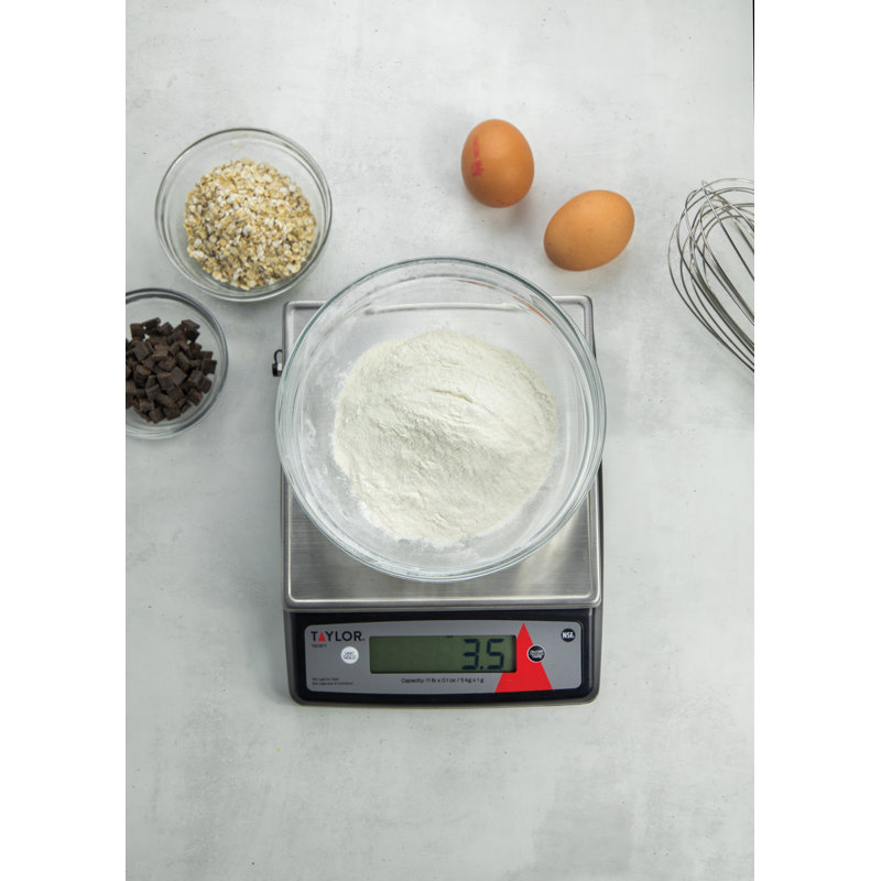 Taylor Digital Scale
