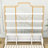 Tailon 4-Tiers Home Office Bookcase Bookshelf, Storage Cabinet and Display Shelf