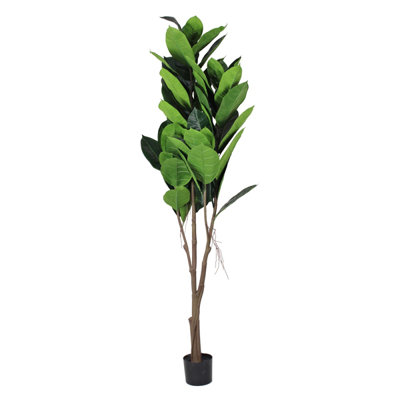 180cm Plant
