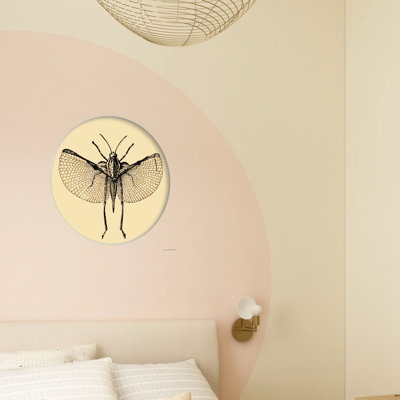 Cotto Wall Clock