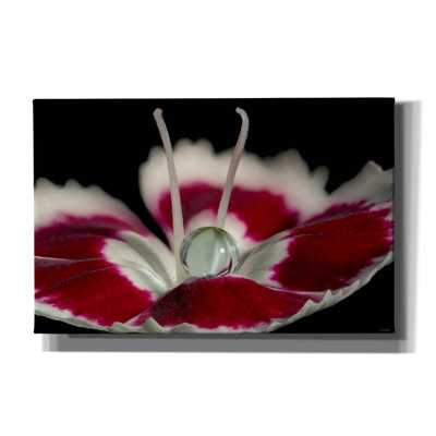 «Macro Flowers 12» par Gordon Semmens, art mural sur toile, 26 po x 18 po