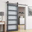 Veneer Barn Door-254669543