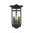 Lucien Nikole 6.5 Inch Outdoor Wall Sconce in Black