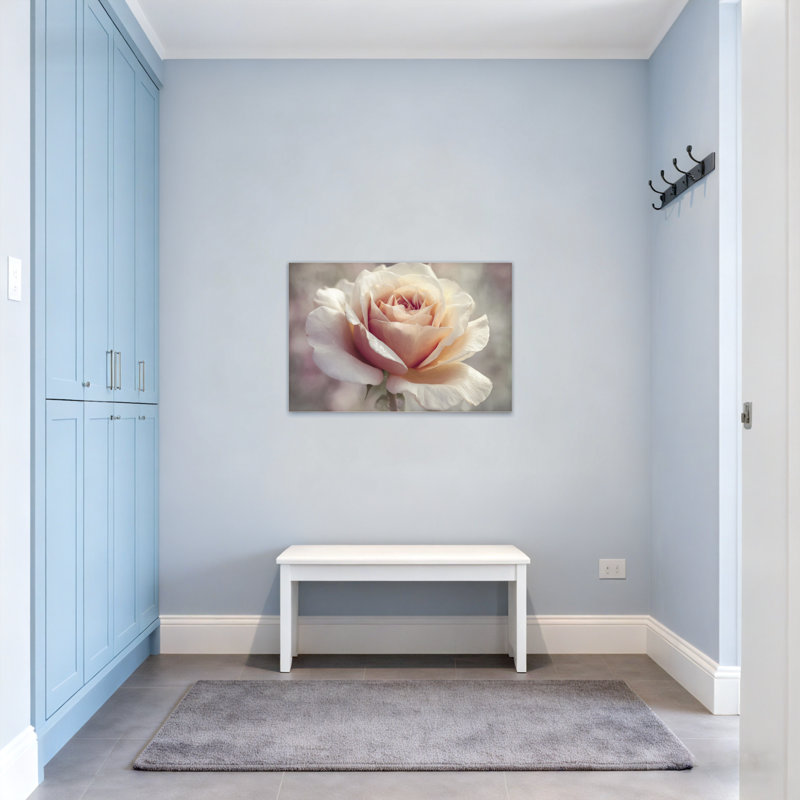 Plantes et fleurs, rose doux, gros plan, art floral, H 16 po x l 24 po