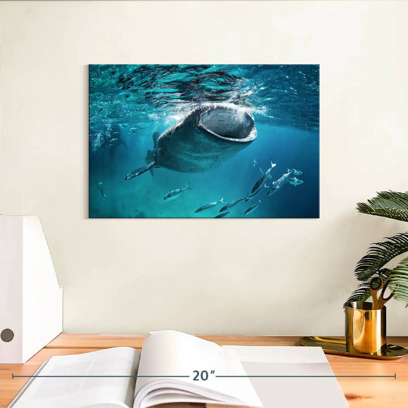 Brampt Gaping Whale Shark, 8" H x 12" W