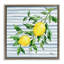 Vigne citron juteuse sur cadre flottant bleu, design par Paul Brent-976542803-976542801