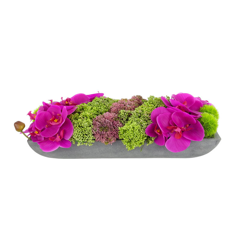 Arrangement orchidée et sédum dans un pot en fibre de pierre, H 6,5 po x l 19,5 po x P 9 po, Gris