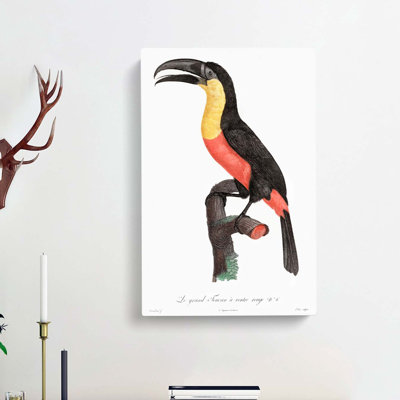 Yellow-Breasted Toucan by Jacques Barraband - Wrapped Canvas