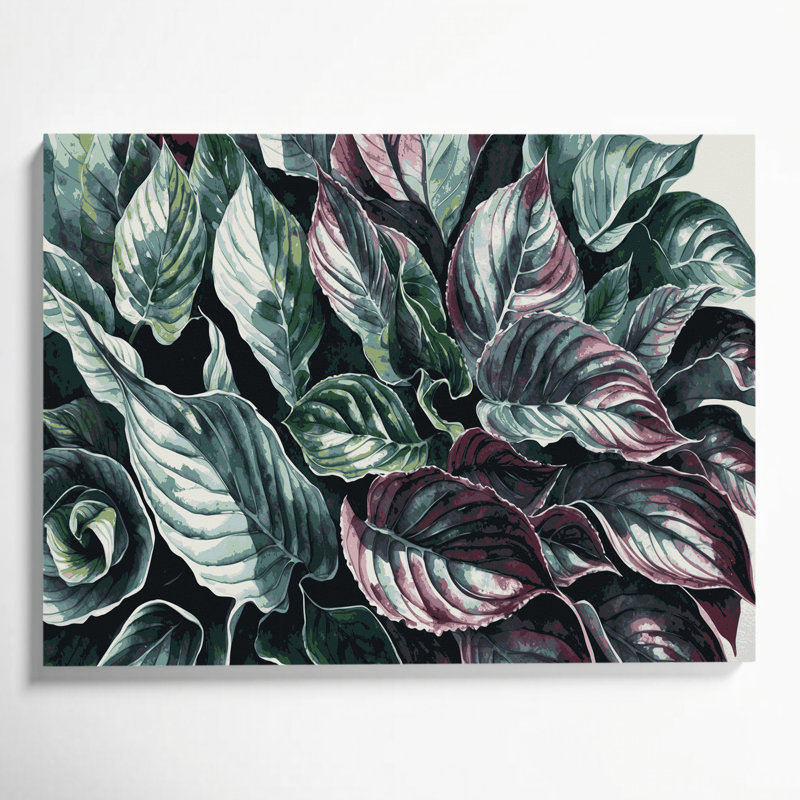 Art botanique sur toile noir Bégonia Rex, H 11 po x l 14 po