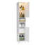 Orr Freestanding Bathroom Cabinet-1833457152