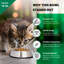 Bol pour animal de compagnie-13945769