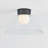 LAKESIDE Flush Mount-109178354