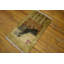 Hand Knotted Silk Oriental Area Rug in Green