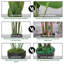 66 plantes-97701041