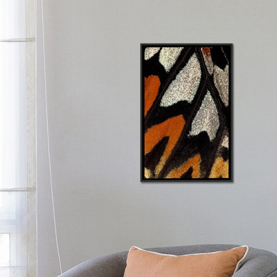 «Butterfly Wing Macro-photograph douzième» par Darrell Gulin - reproduction d'art sur toile tendue avec châssis