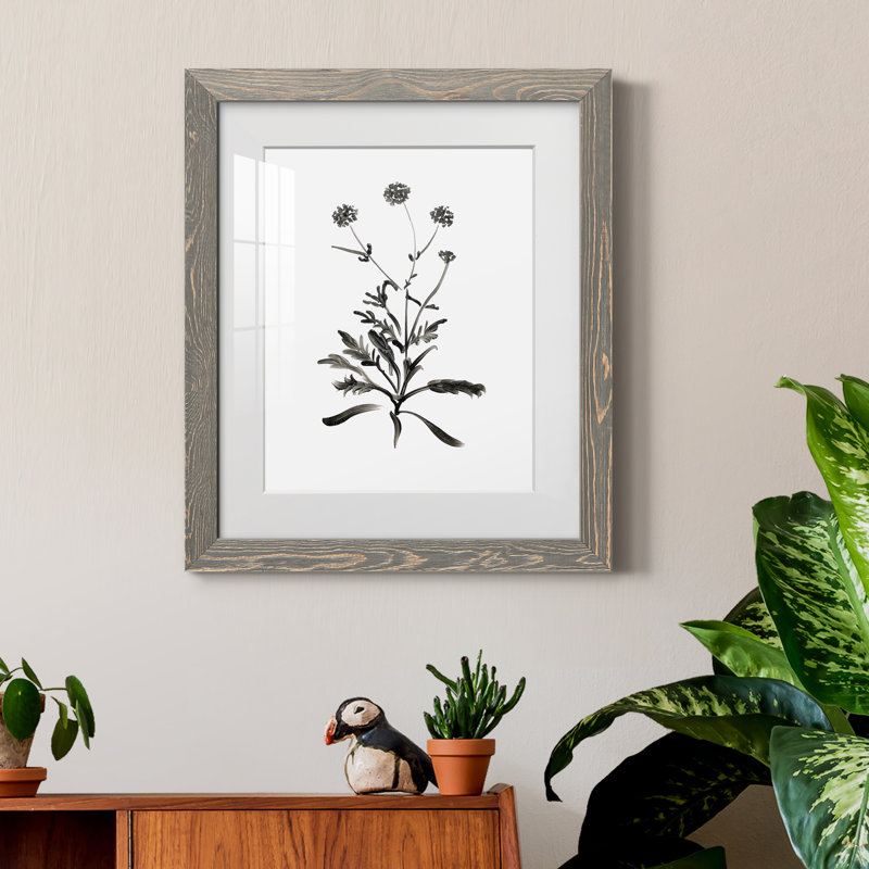 Inky Botanical I - peinture encadrée, Encadré gris, H 24 po x l 18 po x P 1,5 po