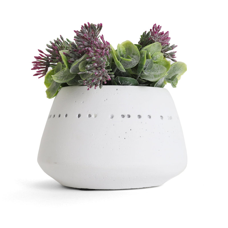Plante grasse artificielle 5,25 po en pot