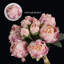 2 bouquets de pivoines, fleurs artificielles et fausses pivoines à tige unique pour centres de table de mariage-1514623629