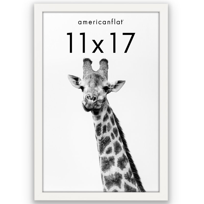 Cadre photo Americanflat, L 12,01 po x H 15,08 po, Blanc