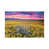 Wrapped Canvas selected