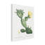 "Redoute Cactus I" sur toile-98233176