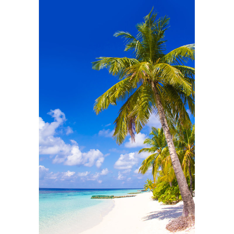 Velaa Private Island by AtanasBozhikovNasko - Wrapped Canvas Print, 46cm H x 30cm W x 3.8cm D