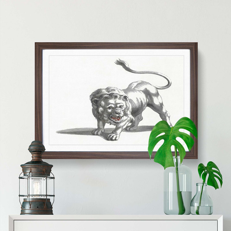 Lion by Johan Teyler - Picture Frame Drawing Print, 27cm H x 36cm W x 2cm D, Walnut Framed