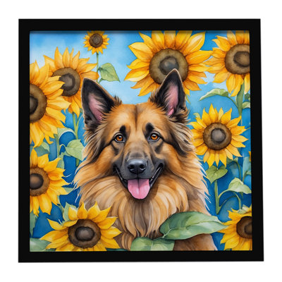 «Tervuren belge avec tournesols», reproduction d'art encadrée