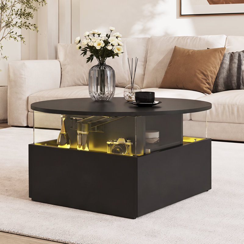 Solid Round Coffee Table with Two Drawers, Black