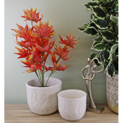 Brandonville Pot Planter