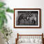 " Botswana Afternoon "-33906371-33906383