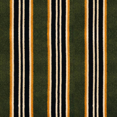 Lorenzo Castillo Volume VI Striped Fabric