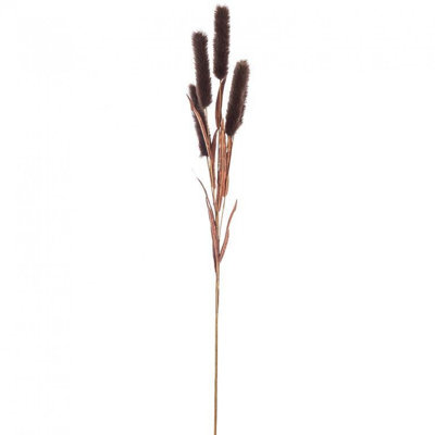 5 Head Bulrush Spray