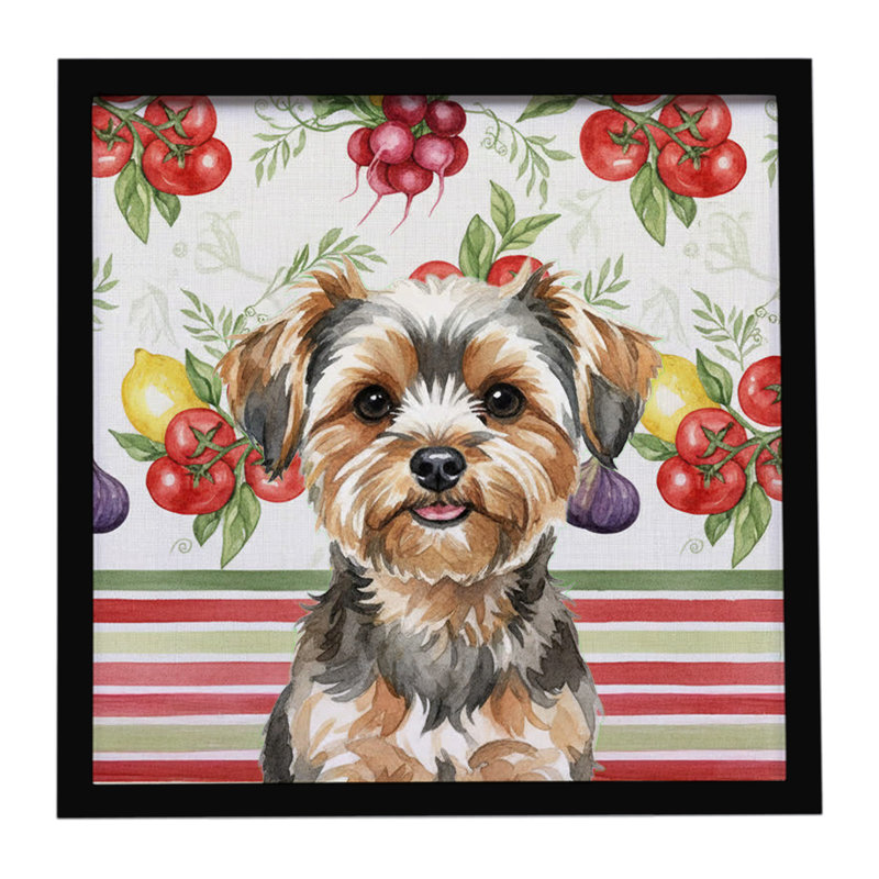 Yorkiepoo - légumes, impression sur métal encadrée