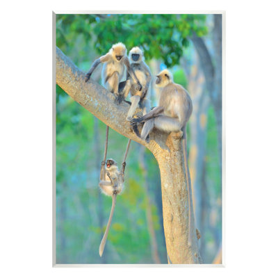 Ba-404-Wood Fun Play Monkeys par Thomas Vijayan