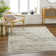 Abstract Indoor Rug