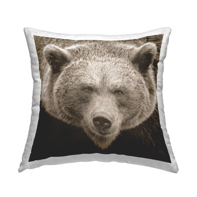 Polyester/Polyester Blend Throw Square Pillow Cover & Insert by Erica Christopher