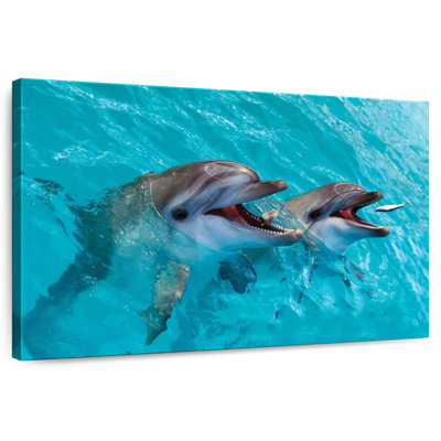 Brampt Cute Dolphins