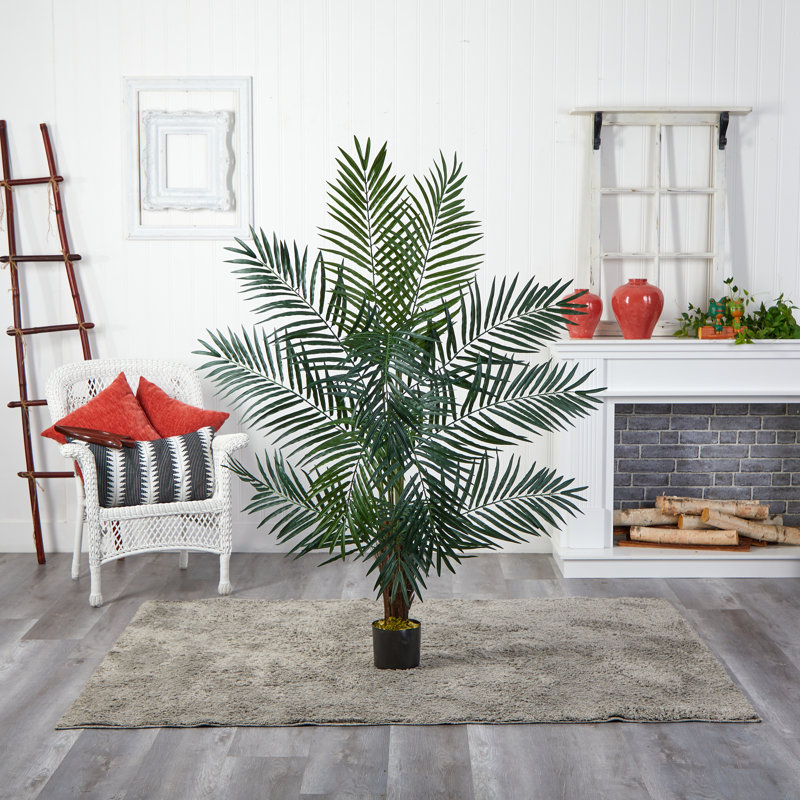 Palmier Charleca Areca, H 60 po x l 44 po x P 44 po / 475 feuilles